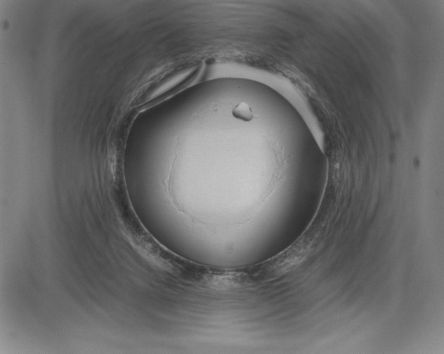 X0000083620072200703051620