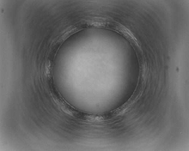 X0000083620073200703051620