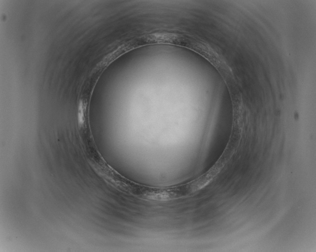 X0000083620075200703051620