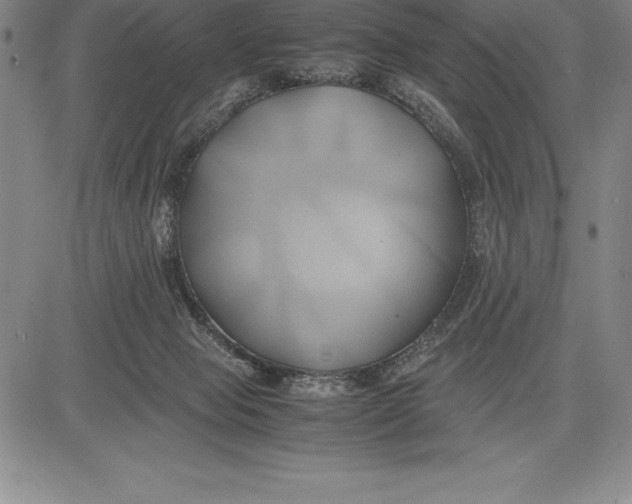 X0000083620077200703051620