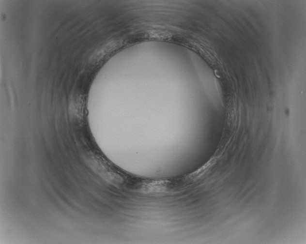 X0000083620078200703051620