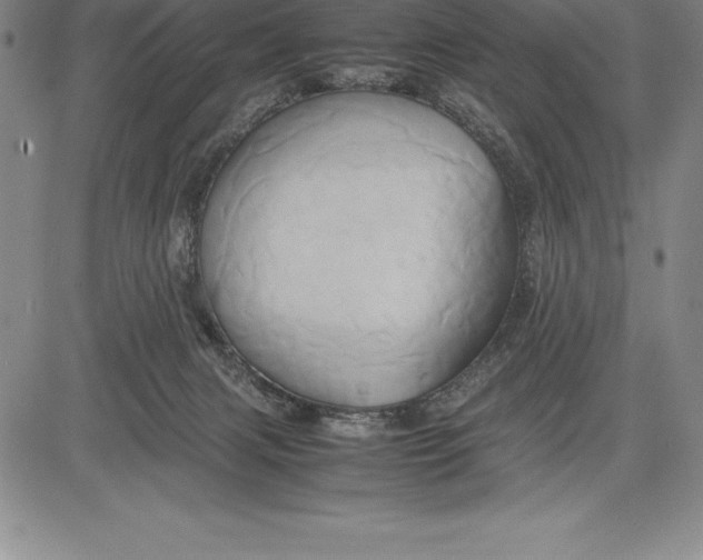 X0000083620079200703051620