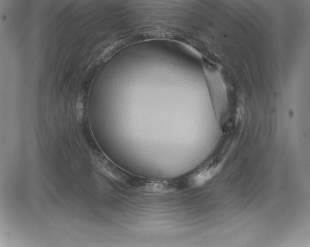 X0000083620080200703051620