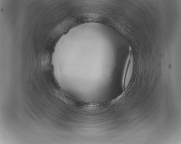 X0000083620082200703051620