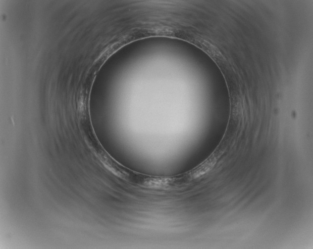 X0000083620084200703051620