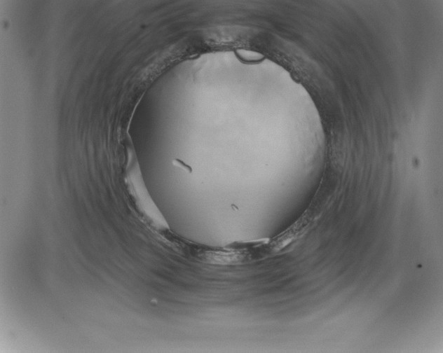 X0000083620085200703051620