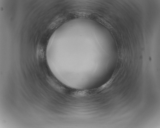 X0000083620086200703051620