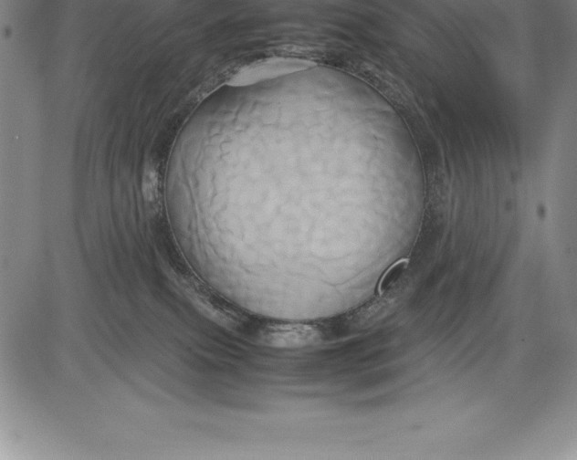 X0000083620087200703051620