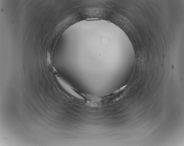 X0000083620089200703051620