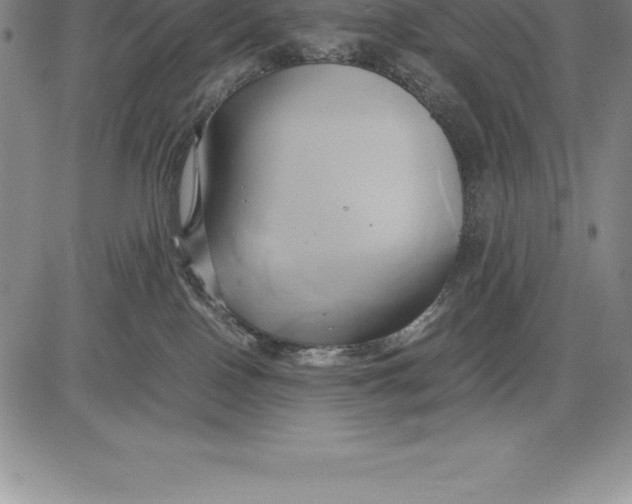 X0000083620090200703051620