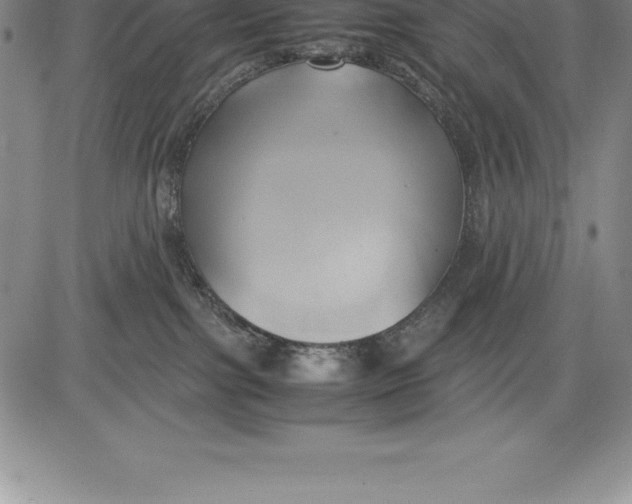 X0000083620091200703051620