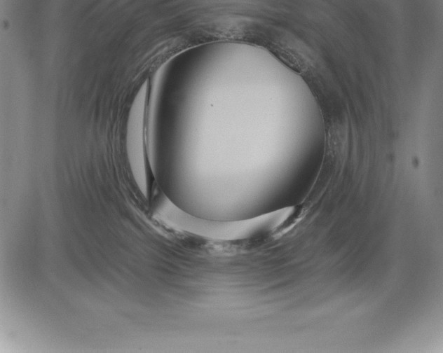 X0000083620092200703051620