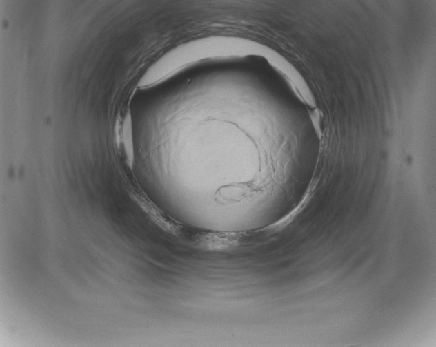 X0000083620094200703051620