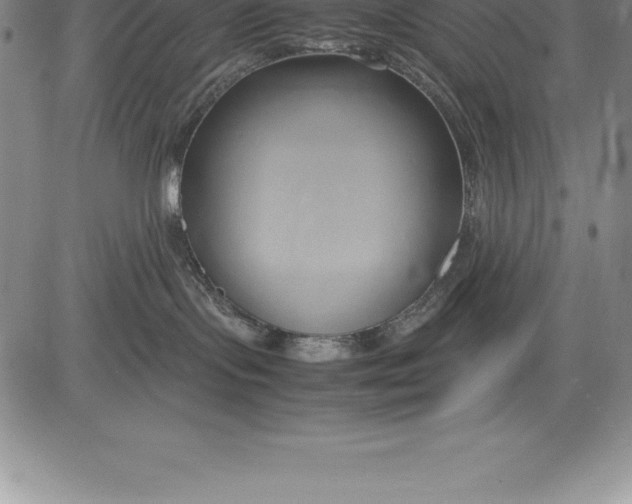 X0000083620095200703051620