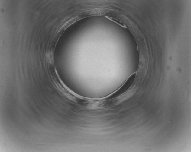 X0000083620096200703051620