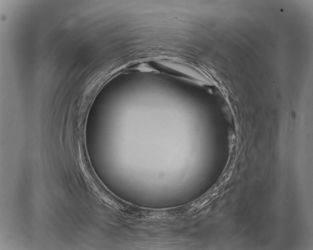 X0000083620097200703051619