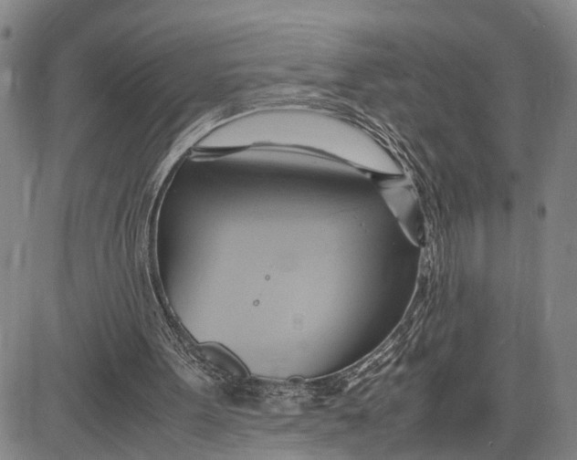 X0000083620099200703051619