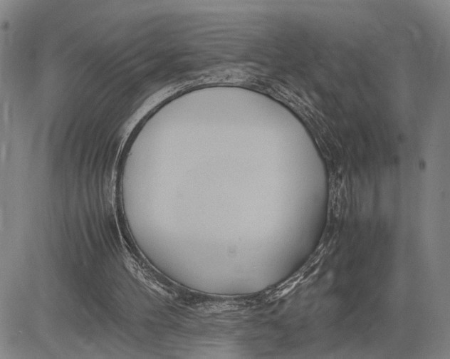 X0000083620100200703051619