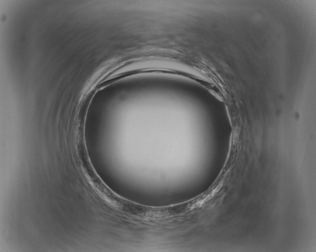 X0000083620101200703051619