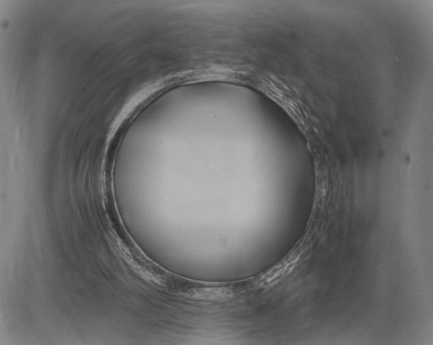 X0000083620102200703051619