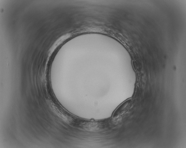 X0000083620104200703051619