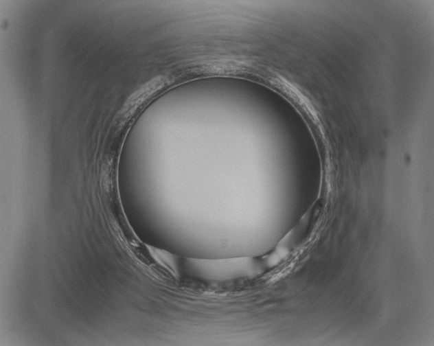 X0000083620105200703051619