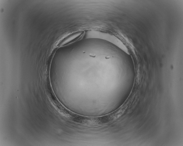 X0000083620107200703051619