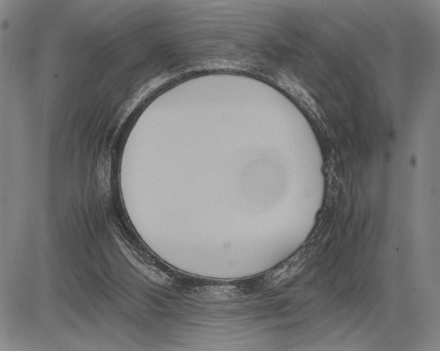 X0000083620108200703051619