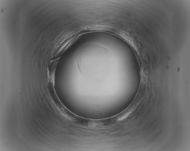 X0000083620109200703051619