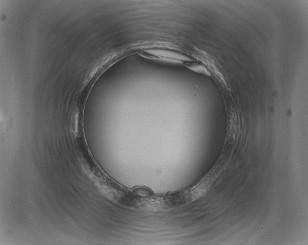 X0000083620110200703051619