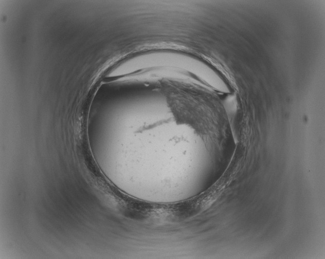 X0000083620111200703051619