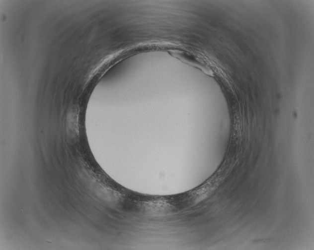 X0000083620112200703051619