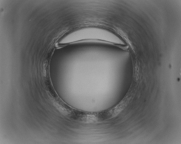 X0000083620114200703051619