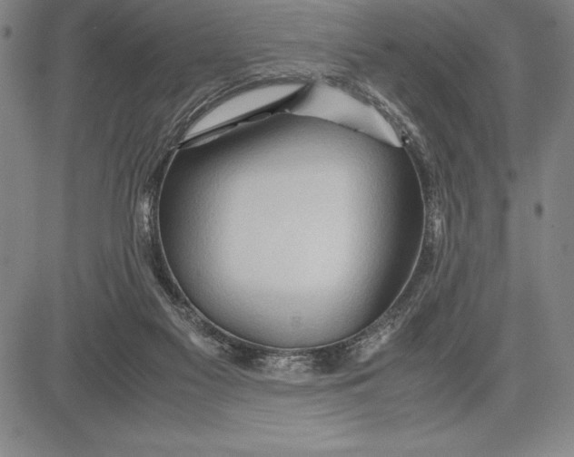 X0000083620117200703051619