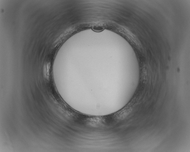 X0000083620118200703051619