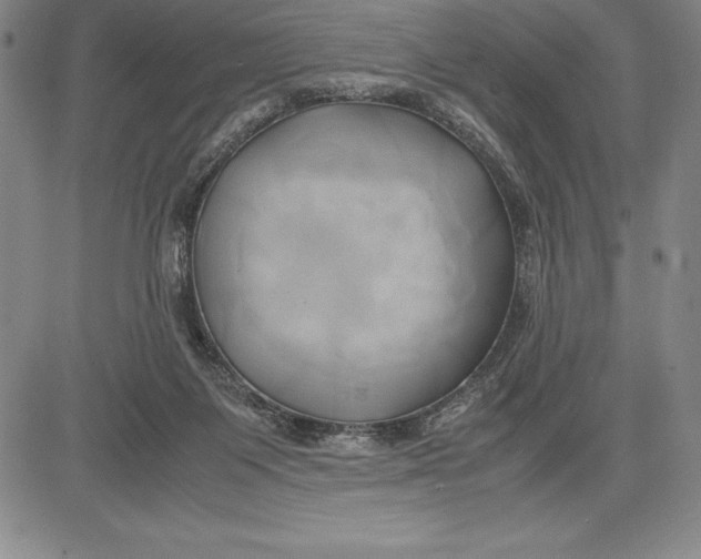 X0000083620119200703051619