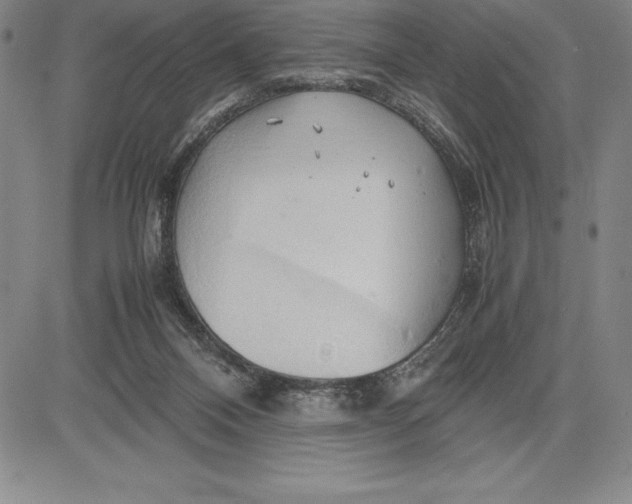 X0000083620120200703051619