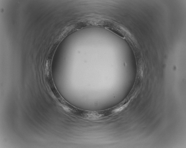 X0000083620121200703051619