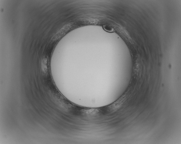 X0000083620122200703051619