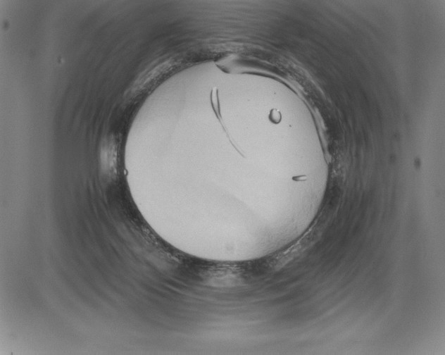 X0000083620124200703051619