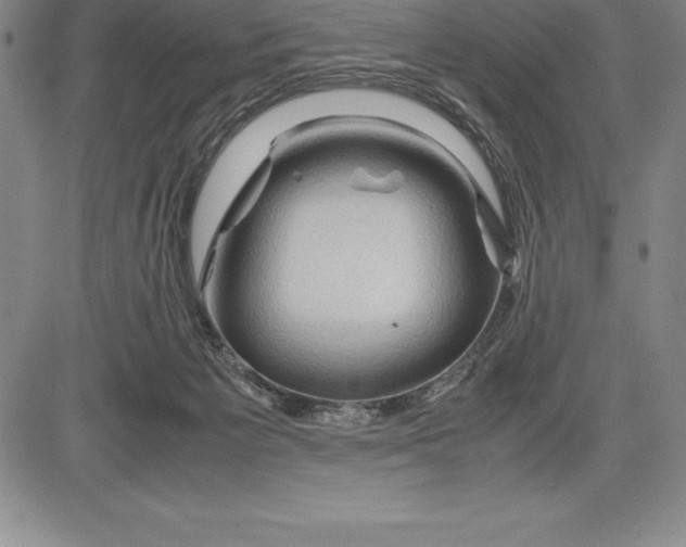 X0000083620125200703051619