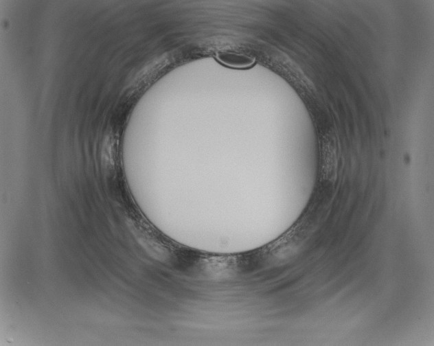 X0000083620126200703051619