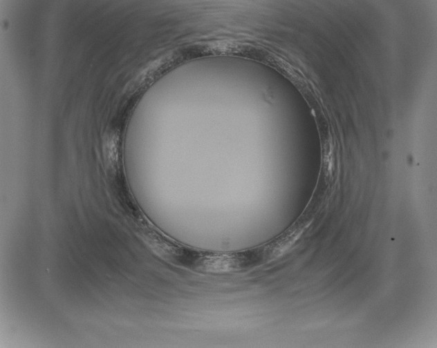 X0000083620127200703051619