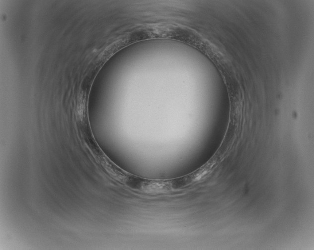 X0000083620129200703051619