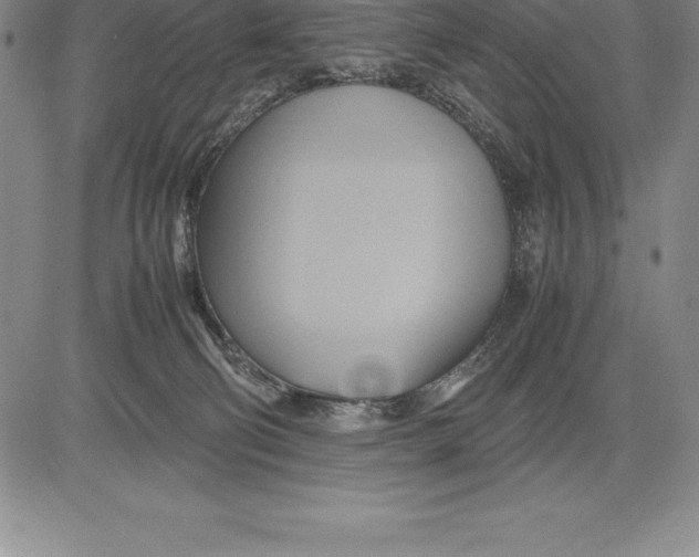 X0000083620130200703051619