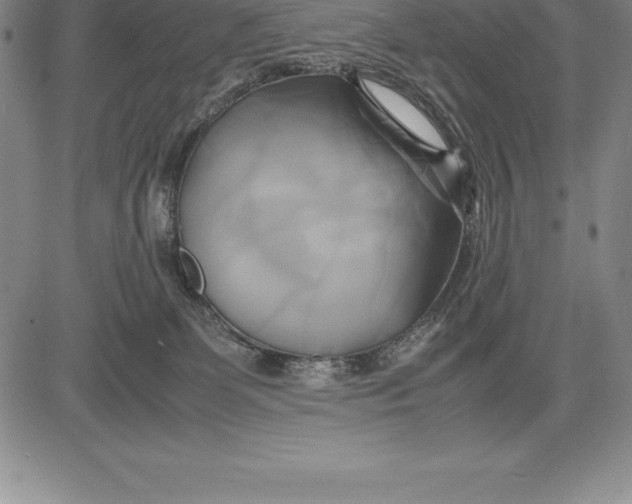 X0000083620131200703051619