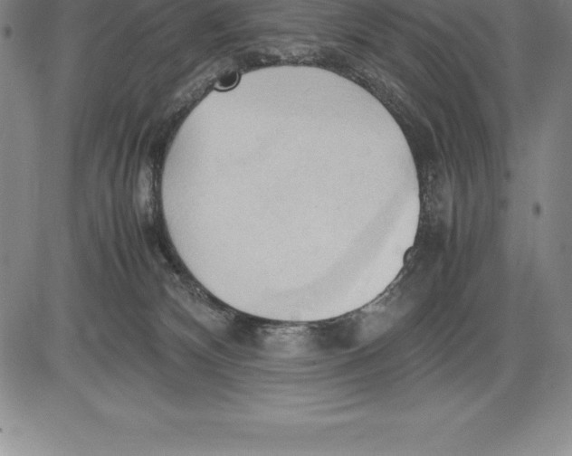 X0000083620132200703051619