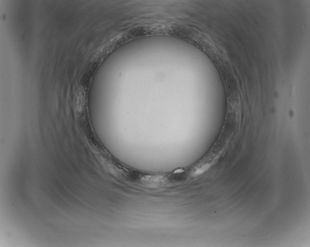 X0000083620133200703051619