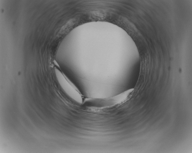 X0000083620134200703051619