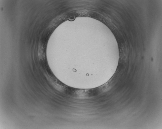 X0000083620136200703051619